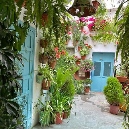 Apartamento La Muralla Вехер де ла Фронтера Екстериор снимка