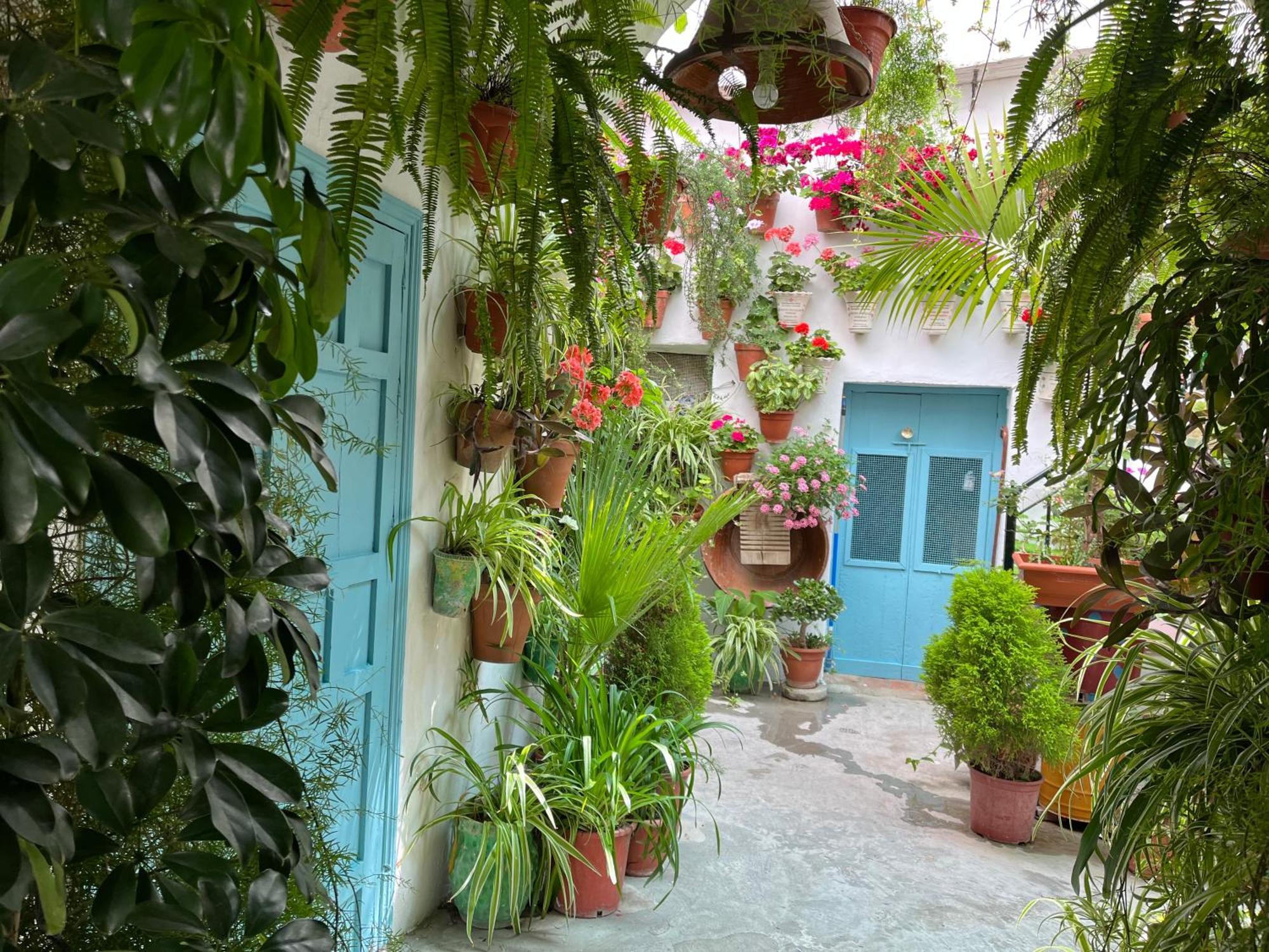 Apartamento La Muralla Вехер де ла Фронтера Екстериор снимка